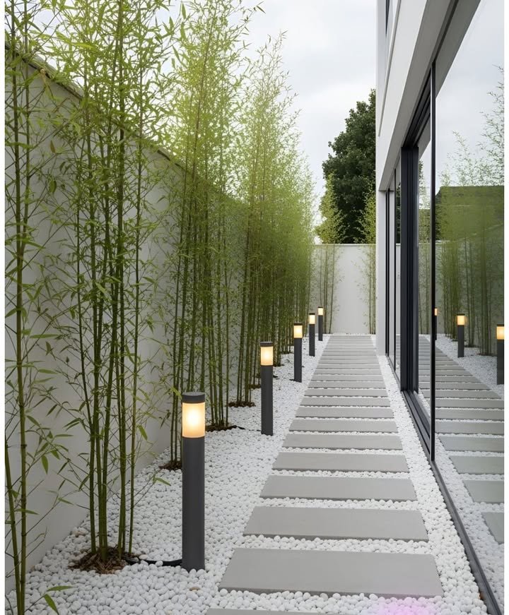 Prunus-landscape پرونوس لاندسكێپ
