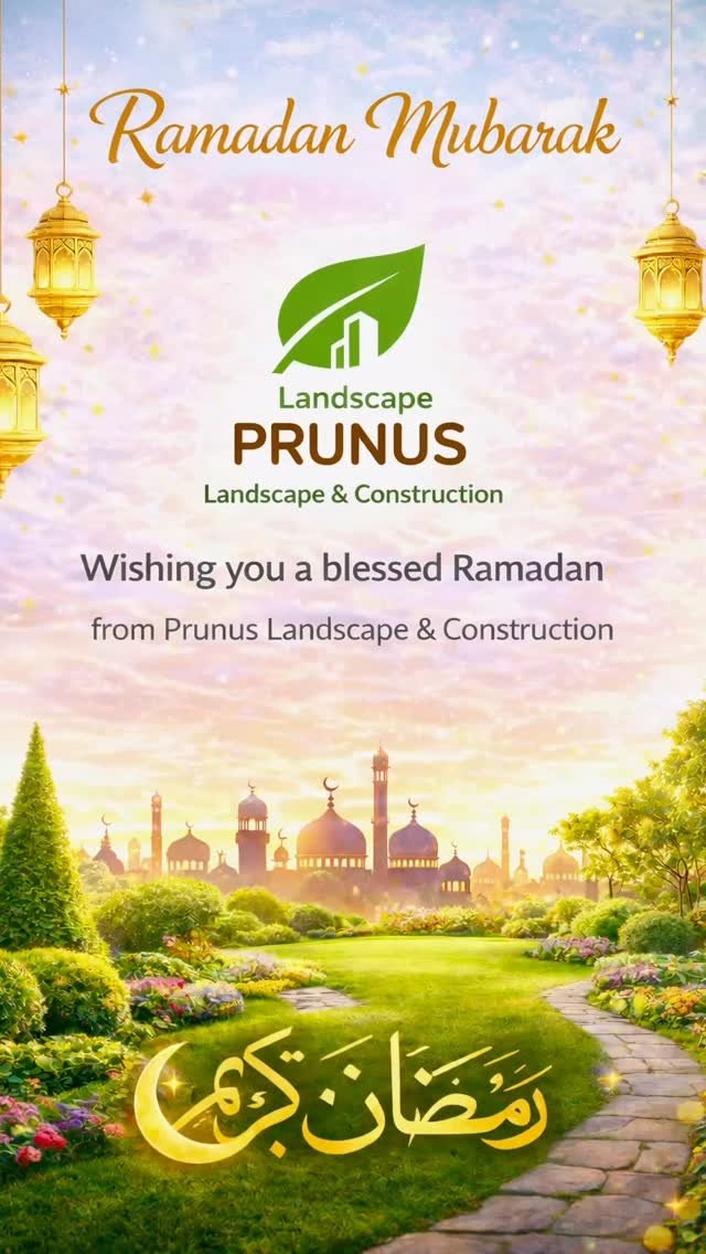 Prunus-landscape پرونوس لاندسكێپ