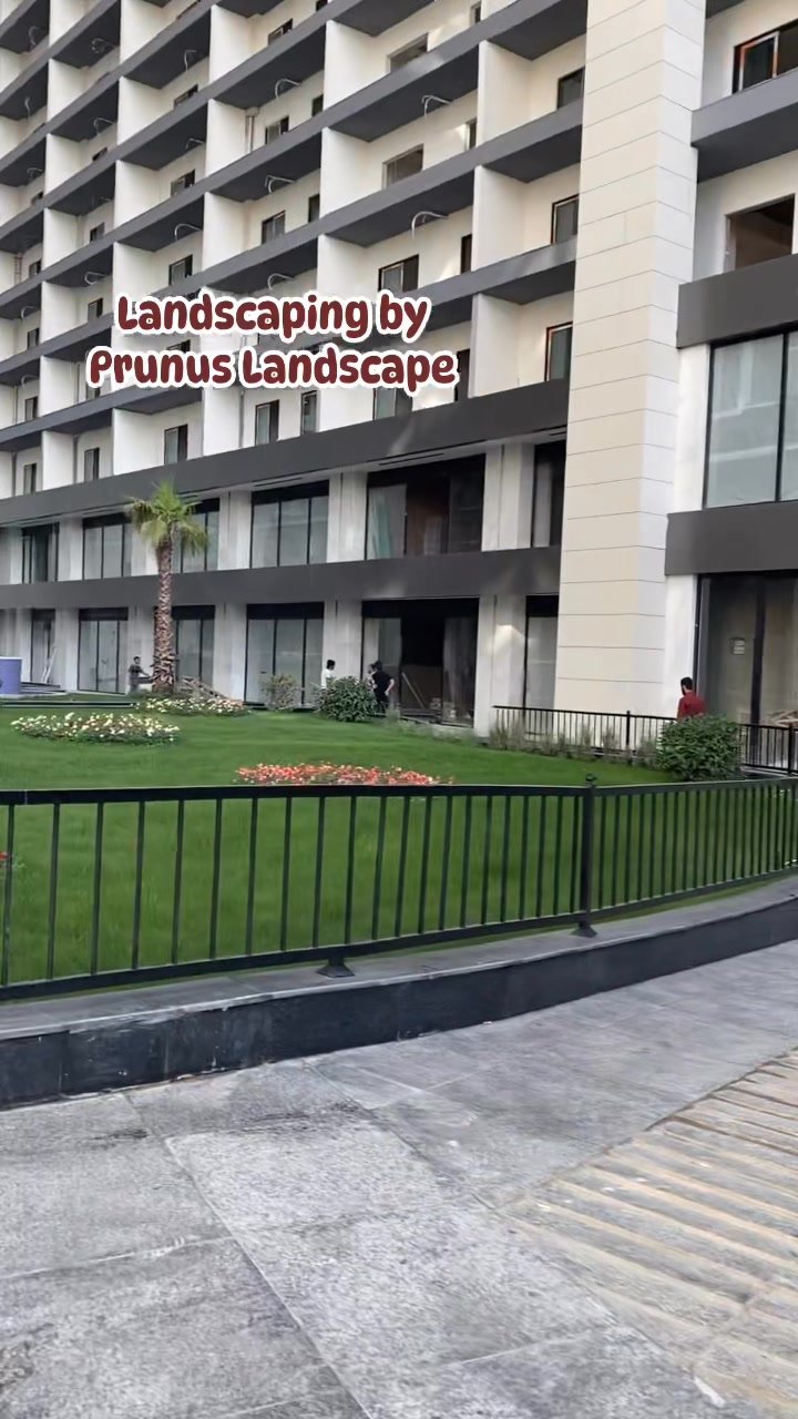 Prunus-landscape پرونوس لاندسكێپ